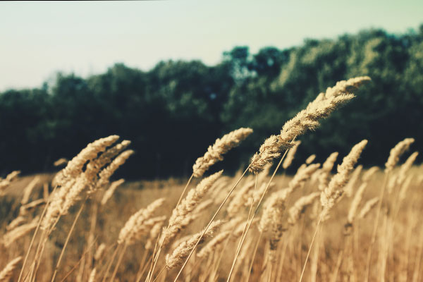 在线DDOS压力测试网页端